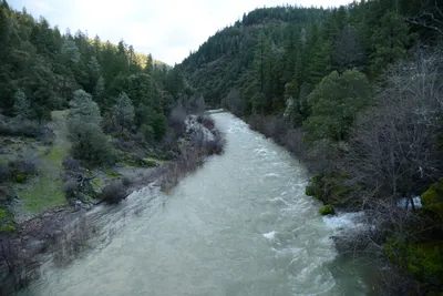 DSC_0941 (Large).JPG